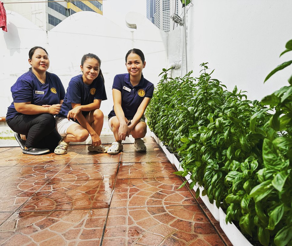 Three uniformed staff members beside a long trough of basil on a terrace