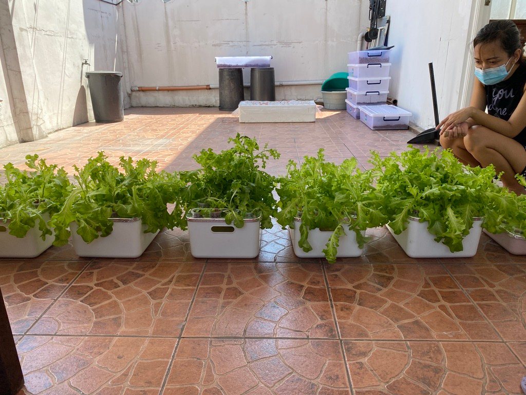 A row of hydroponic growing units on a tiled floor
